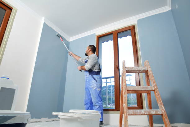 Best Wallpaper Removal and Painting  in Belen, NM